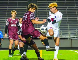 Hawks soar over Maroons