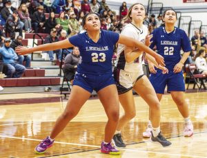 Lady Lobos fall to Lions