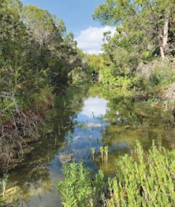 Natural resource park coming to Dripping Springs