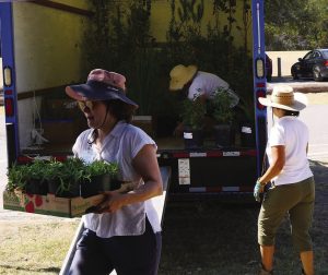 Hays County Master Gardeners to hold Spring Plant & Tree Sale