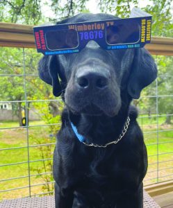 Wimberley High School students gain confidence, train service dogs to save lives