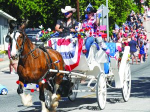Star-spangled Wimberley