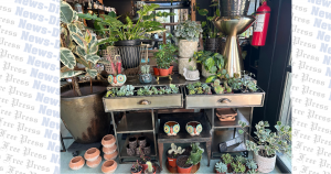 Local florist opens plant shop in Buda