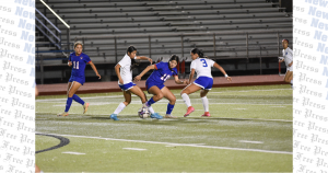 Hawks shutout Lobos, advance to playoffs